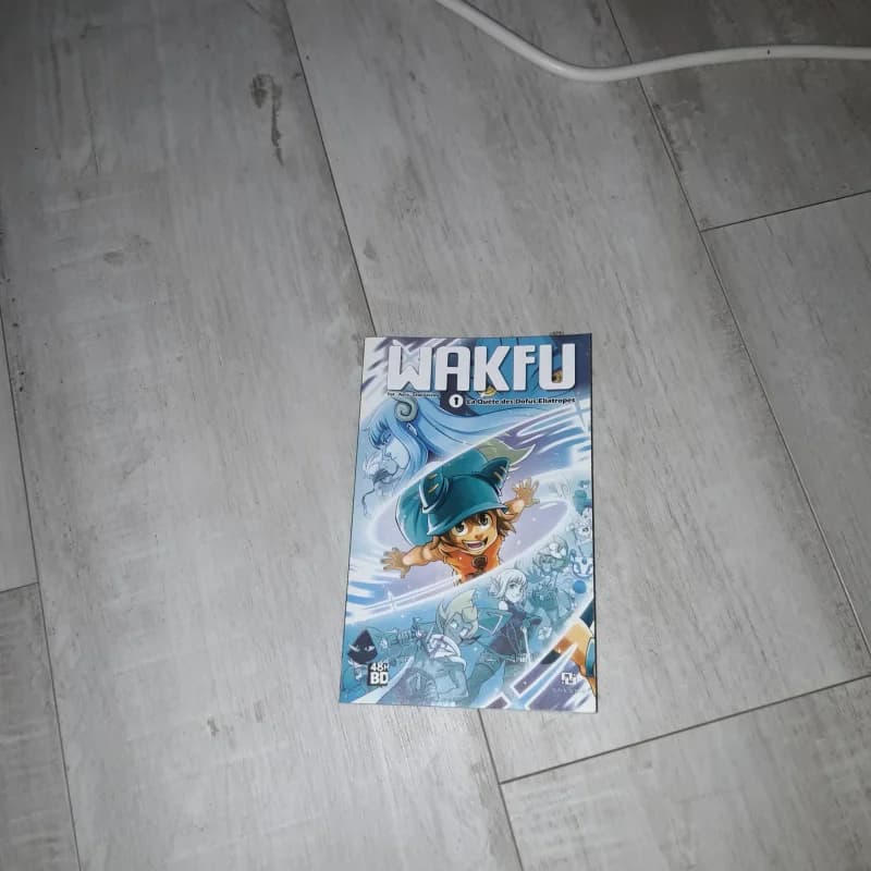 Wakfu 1