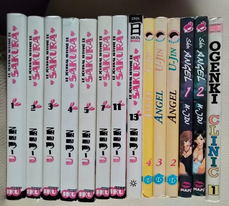 Lot manga hentai / ecchi