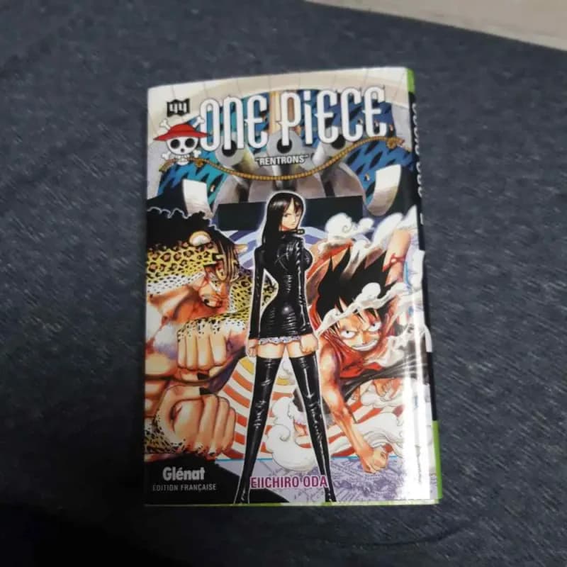 Tome 44 one One piece